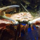 독도게찜 이미지