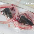 자연산바다 이미지