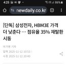 삼성전자, HBM3E 가격 더 낮춘다 … 점유율 35% 재탈환 시동 이미지