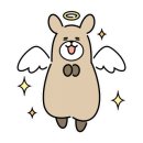 동탄바라기한약국 이미지