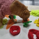 GPS 애견학교 이미지