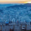 중앙해수랜드 이미지