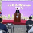 신안센터-8 이미지