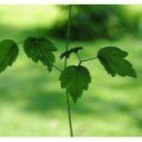 은혜머리마당 이미지