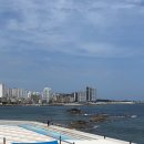 화암추등대입구화장실 이미지