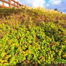 꼬지이야기 이미지