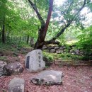 제 114차 울진 금강소나무숲 Treking 안내 이미지