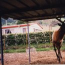 바람고갯길 이미지