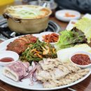 도봉로82길 | 수유 술집 맛집 양은이네 얼큰동태탕 오징어보쌈 후기