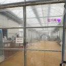 오정어린이집 | 부천 나눔농장(오정구 대장동, 24개월 아이와) <25.12.11.>