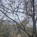 유달산 미륵불 암각 이미지