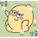 세움어린이집 이미지