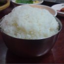 밥심 Daum카페