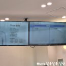 정직한동물의료센터 | 강아지가 닭뼈를 먹었어요... | 정직한동물의료센터