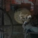 진범 농장 이미지