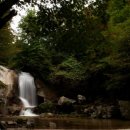 솔마루식당 이미지