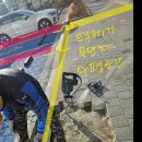 베르데코