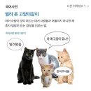 예림양꼬치 | 사랑을 마음껏 표현하세요
