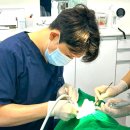 신길하나치과의원 | 신길역 사랑니 치과, 사랑니 발치 후 관리 완벽 가이드 (구강악안면외과 전문의 칼럼)