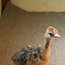 한길3농장 이미지