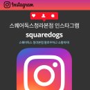 스퀘어독스 이미지
