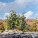 소은농장 이미지