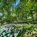 월아산 숲속의 진주 이미지