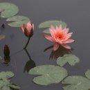 팔정도(八正道)의 허(虛)와 실(實) 이미지