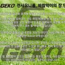포항서부대리점