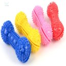 애견세상 이미지