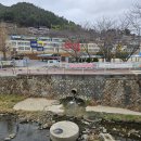 광무동 진남 티스토리