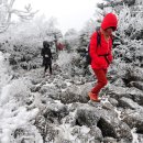 한라산 뉴스1