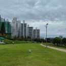 김시민대교 둔치 이미지