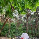 달서별빛캠프 캠핑장(데크캠핑장) 이미지