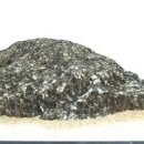 수석전시관 이미지