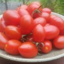 국희농장 이미지