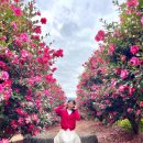 숲속노을 동물병원 이미지