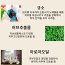 한국바이오규소협회