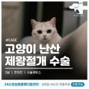 월평동물병원 이미지