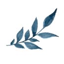 442스튜디오 이미지