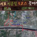 서로사랑하는도서관 이미지