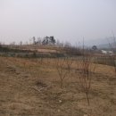 옥천농장 Daum카페