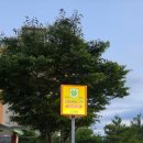 동부공원 이미지