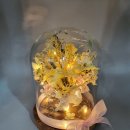 플라데코