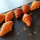 뉴월드인터네셔널 이미지