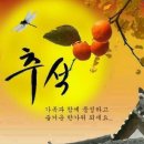 숲속에는 이미지