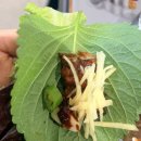 나루터로 | 파주 맛집 반구정 나루터집 내돈내산 솔직후기