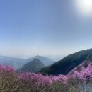 소답동121 이미지