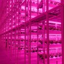 태백농장 이미지