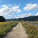 지곡자동차 이미지